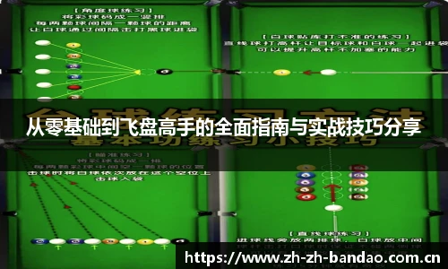 从零基础到飞盘高手的全面指南与实战技巧分享